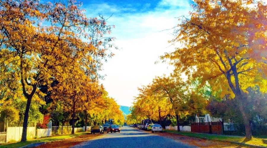 WOORI_VANWEST COLLEGE-KELOWNA31- (02)27526862