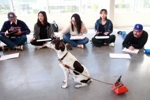 加拿大大專院校 Emily Carr University 台灣WOORI 加拿大留遊學_5
