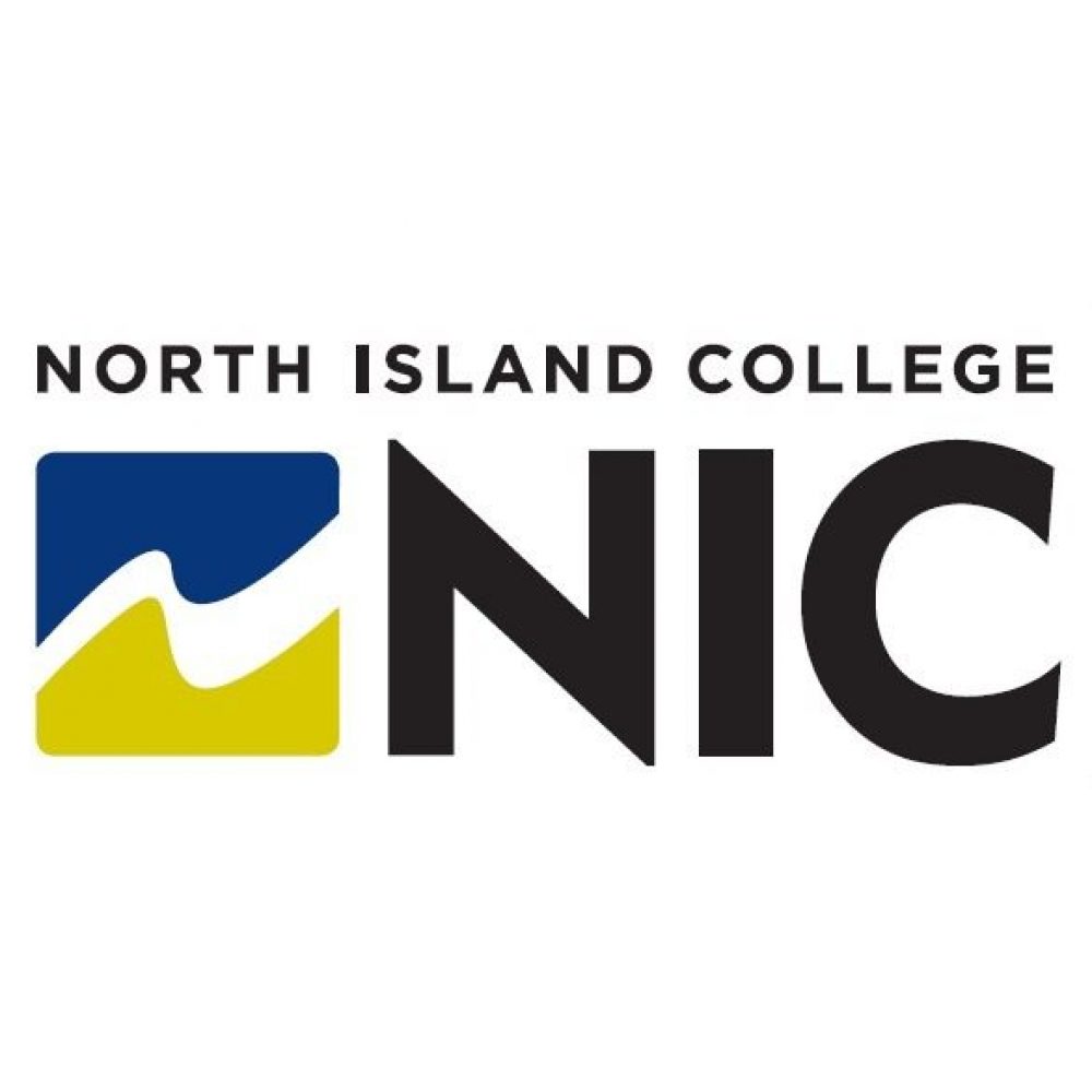 NIC logo