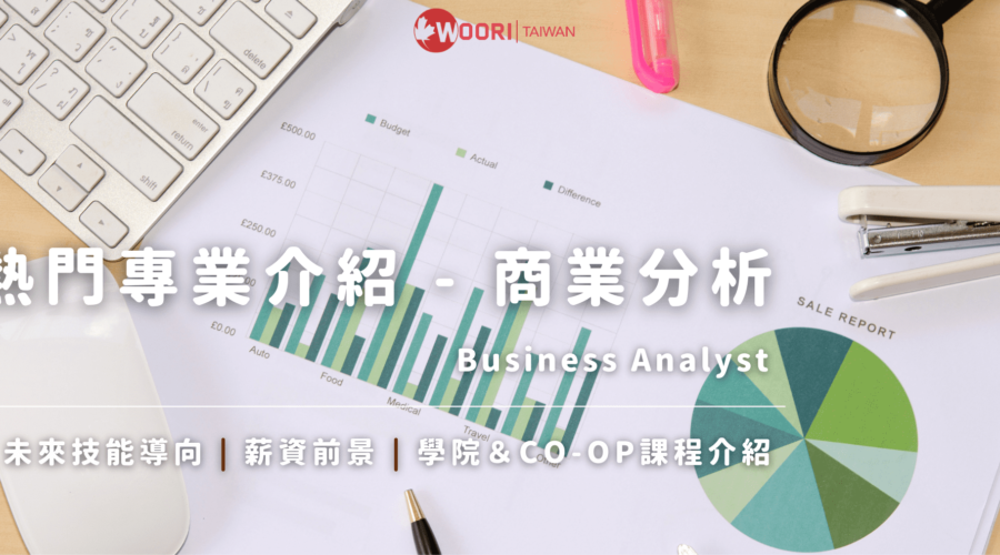 商業分析Business Analyst