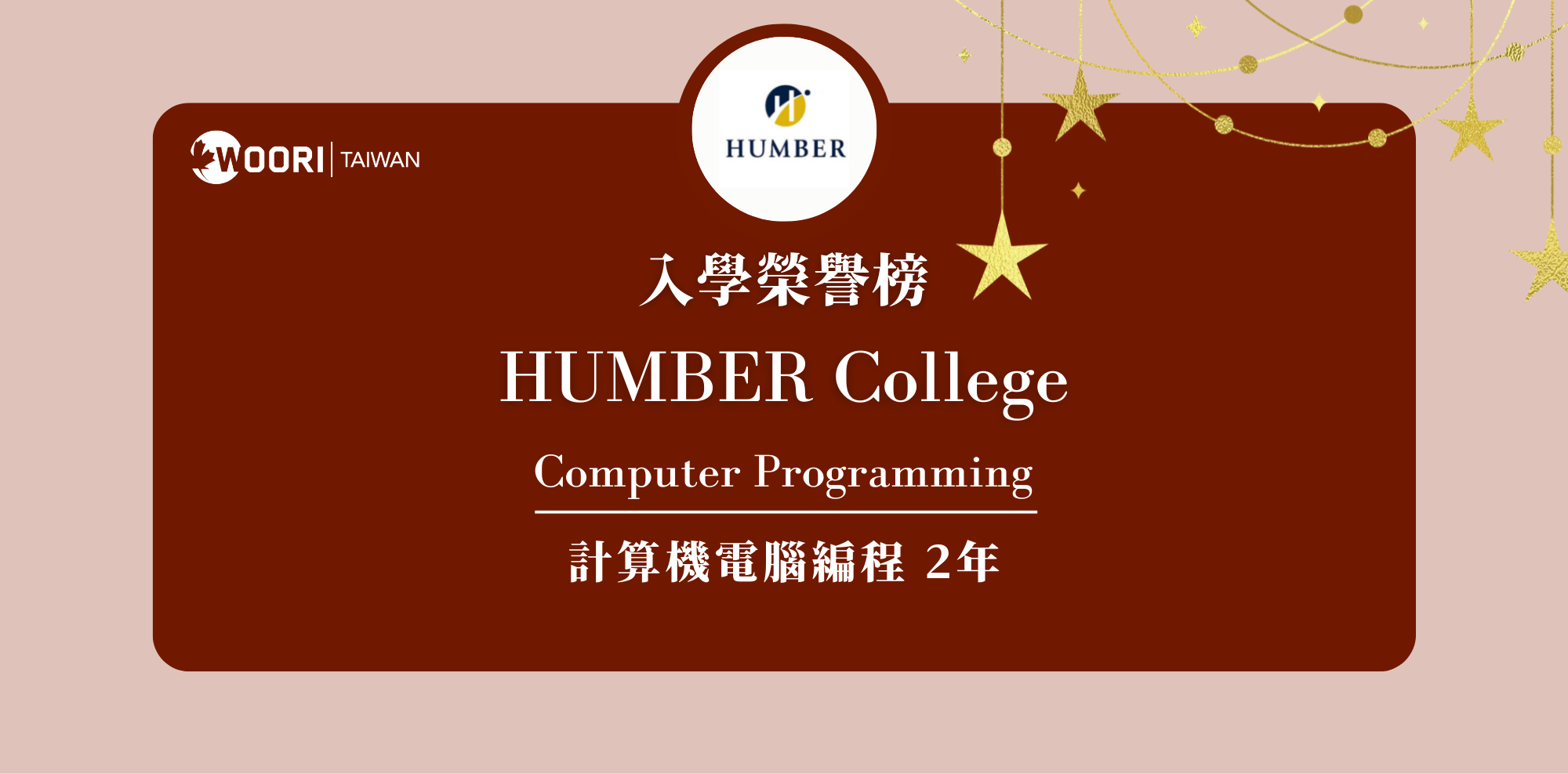 humber Computer Programming