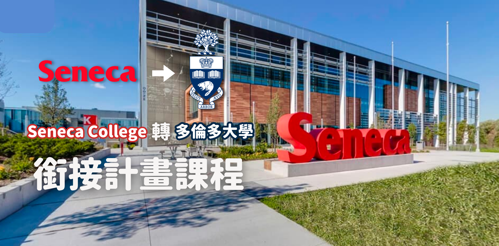 大學畢業後想出國申請名校？Seneca 轉多倫多大學銜接課程計畫